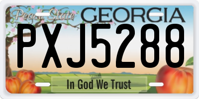 GA license plate PXJ5288