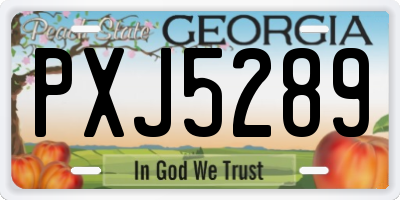 GA license plate PXJ5289