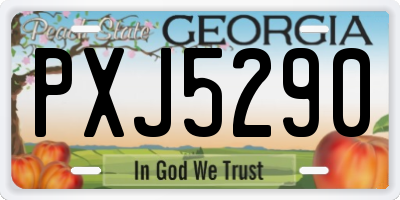 GA license plate PXJ5290