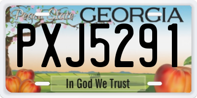GA license plate PXJ5291