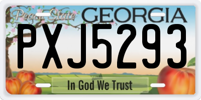 GA license plate PXJ5293