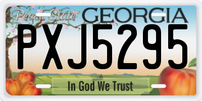 GA license plate PXJ5295