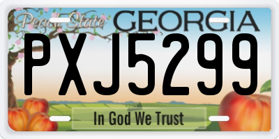 GA license plate PXJ5299