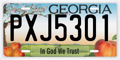GA license plate PXJ5301