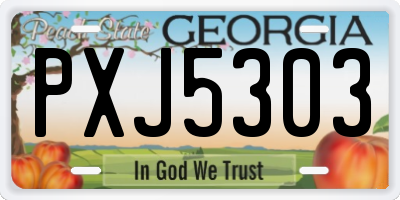 GA license plate PXJ5303