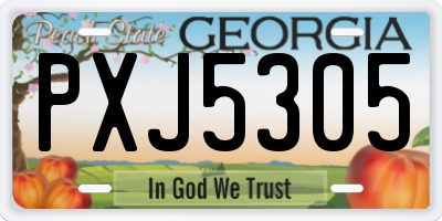GA license plate PXJ5305