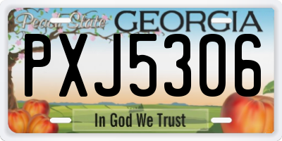 GA license plate PXJ5306