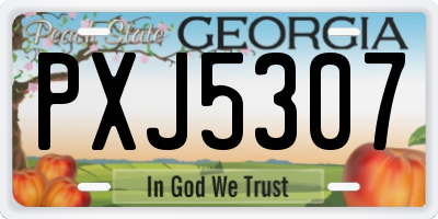 GA license plate PXJ5307