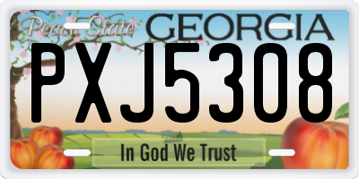 GA license plate PXJ5308
