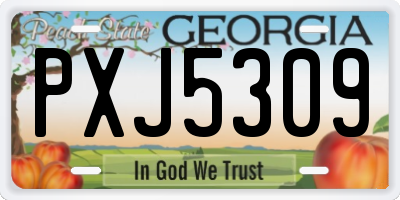 GA license plate PXJ5309