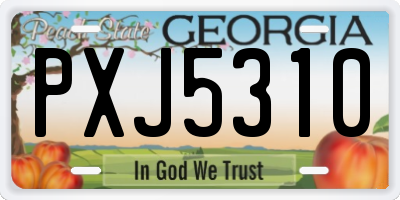 GA license plate PXJ5310