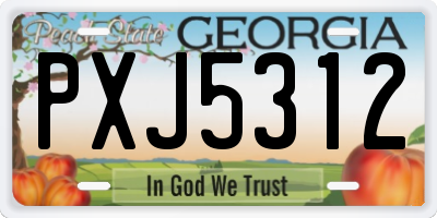 GA license plate PXJ5312