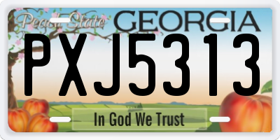 GA license plate PXJ5313