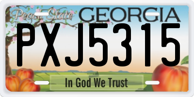 GA license plate PXJ5315