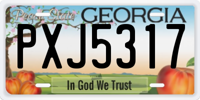 GA license plate PXJ5317