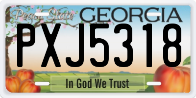 GA license plate PXJ5318