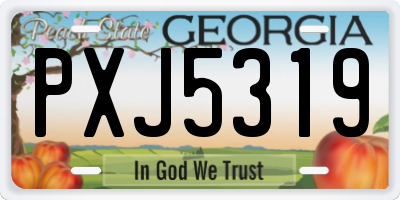GA license plate PXJ5319