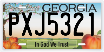 GA license plate PXJ5321