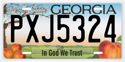 GA license plate PXJ5324