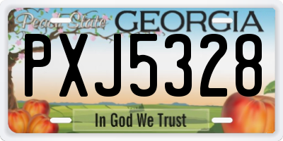 GA license plate PXJ5328
