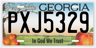 GA license plate PXJ5329