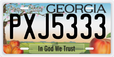 GA license plate PXJ5333