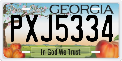 GA license plate PXJ5334
