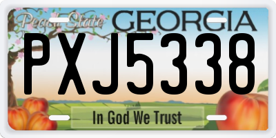 GA license plate PXJ5338
