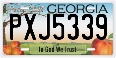 GA license plate PXJ5339