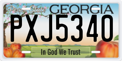 GA license plate PXJ5340