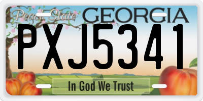 GA license plate PXJ5341