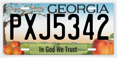 GA license plate PXJ5342