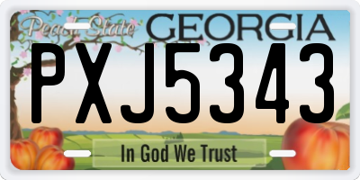 GA license plate PXJ5343