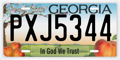 GA license plate PXJ5344