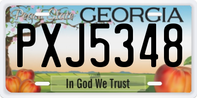 GA license plate PXJ5348