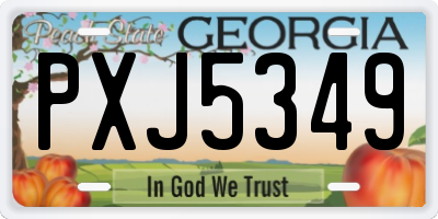 GA license plate PXJ5349