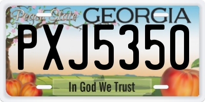 GA license plate PXJ5350