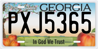 GA license plate PXJ5365