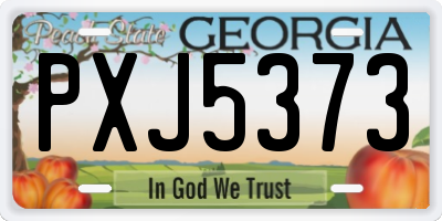 GA license plate PXJ5373