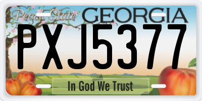 GA license plate PXJ5377