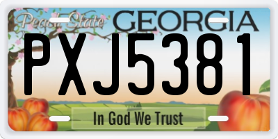 GA license plate PXJ5381