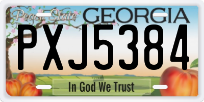 GA license plate PXJ5384