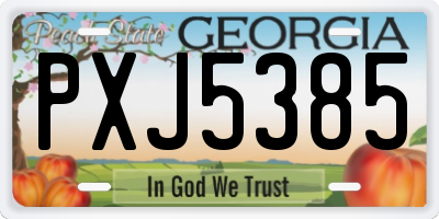 GA license plate PXJ5385