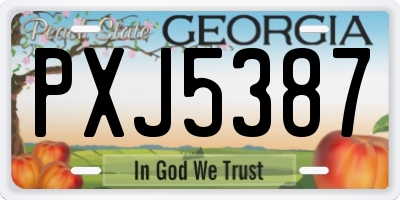 GA license plate PXJ5387