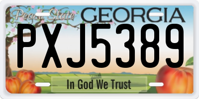 GA license plate PXJ5389