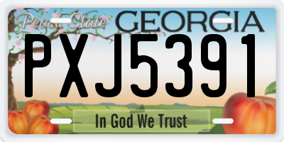 GA license plate PXJ5391