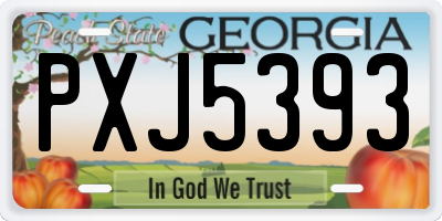 GA license plate PXJ5393