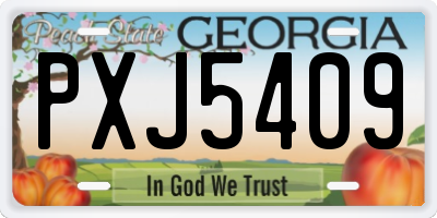 GA license plate PXJ5409