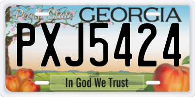 GA license plate PXJ5424