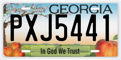 GA license plate PXJ5441